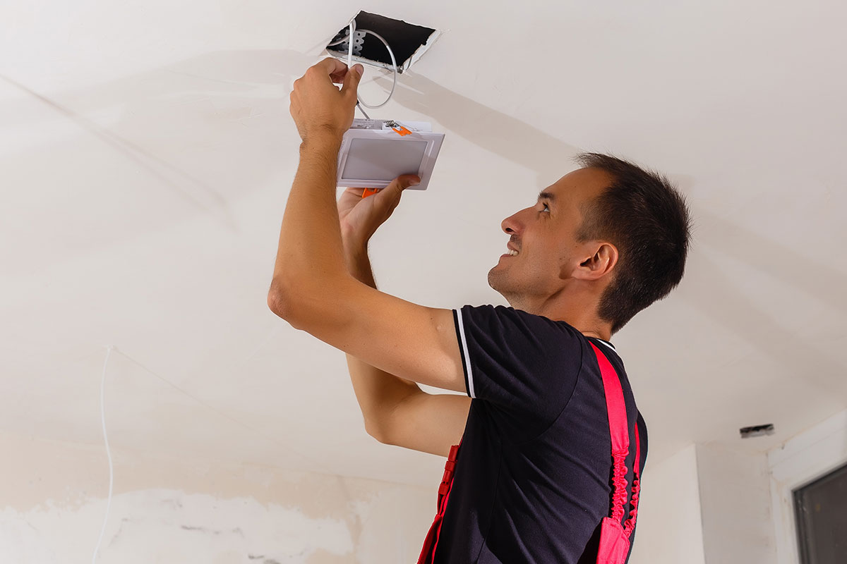 How do you get rid of stink bug eggs